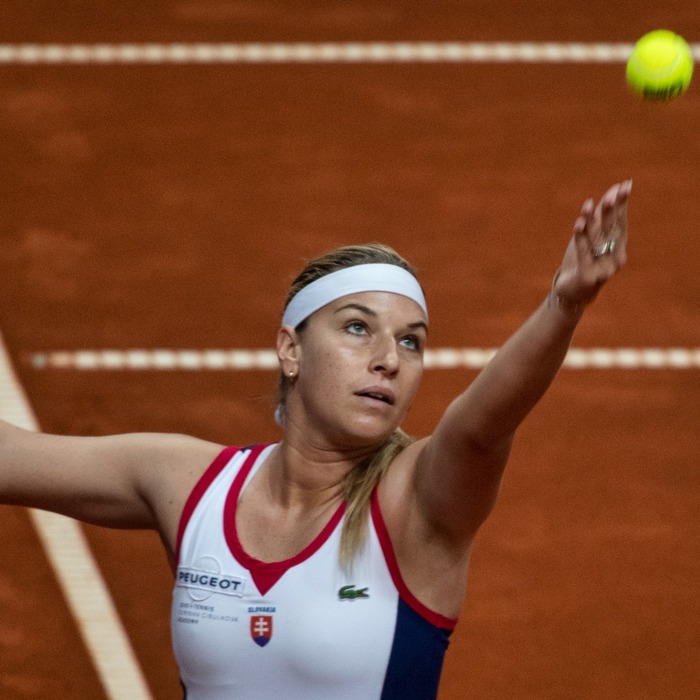 Dominika Cibulková