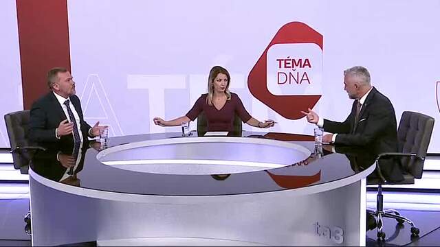 TéMA DNSa