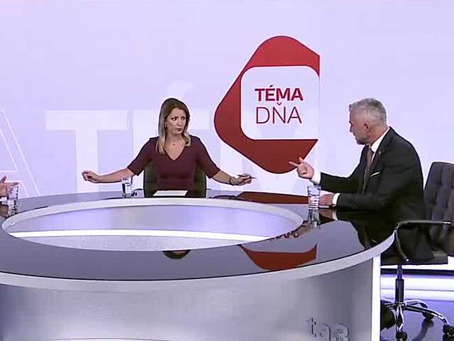 TéMA DNSa