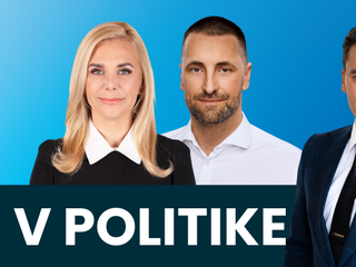 V politike
