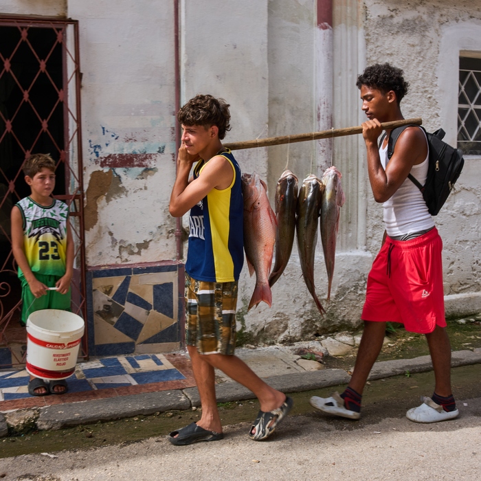 Kuba Havana