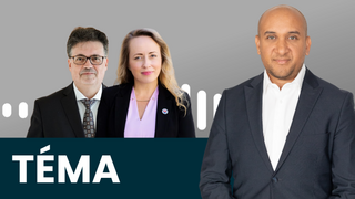 TĚMA  TÉMA DŇA - podcast a YT (5).png