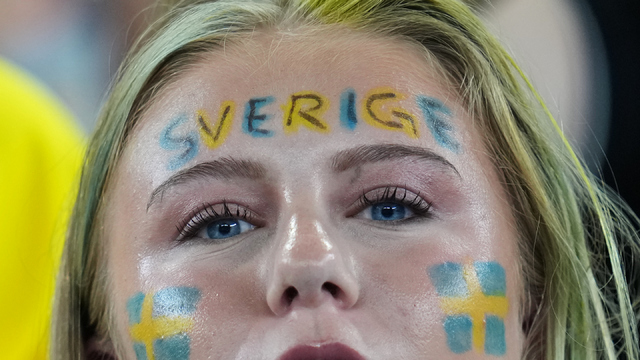 Švédska fanúšička