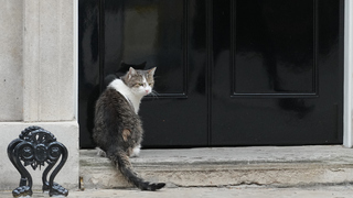 V službe je 15 rokov a nikto ho nemôže odvolať. Na Downing Street „vládne“ dlhšie než väčšina premiérov