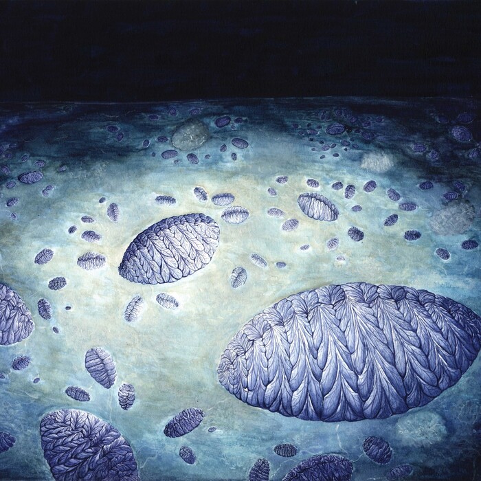 Fractofusus