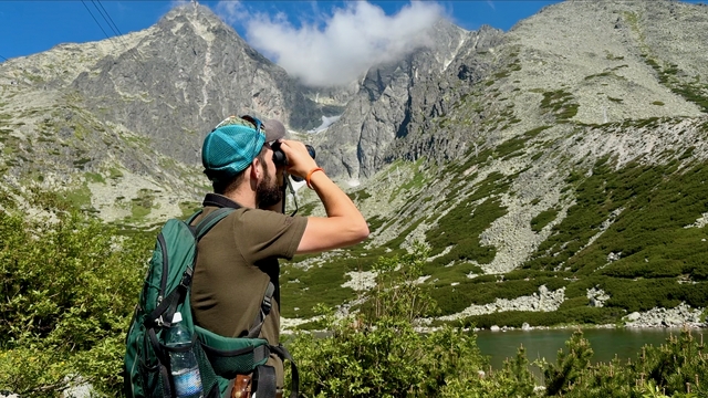 Tatry počítanie kamzíkov hory
