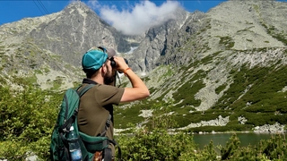 Tatry počítanie kamzíkov hory