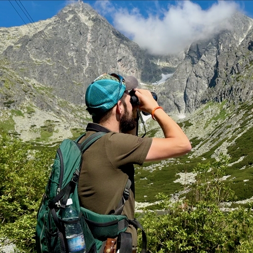 Tatry počítanie kamzíkov hory
