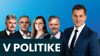 V politike_1.png