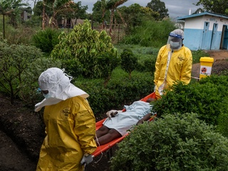 ebola