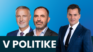 v politike, král