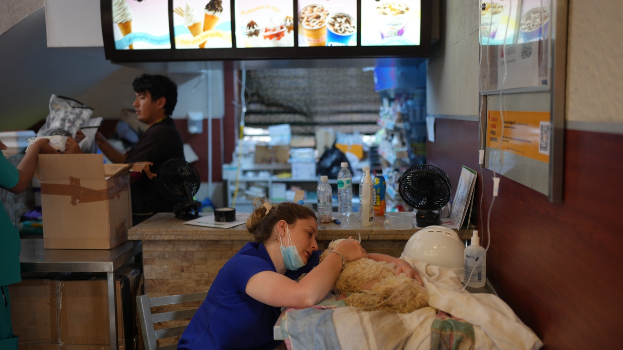 mcdonalds vo venezuele.jpg