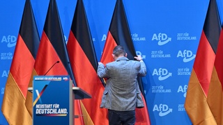 AfD