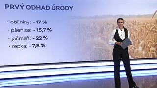 Úroda obilnín výrazne klesne. Slovensko môže zažiť najslabší rok od roku 2018