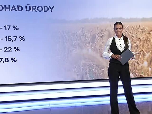 Úroda obilnín výrazne klesne. Slovensko môže zažiť najslabší rok od roku 2018