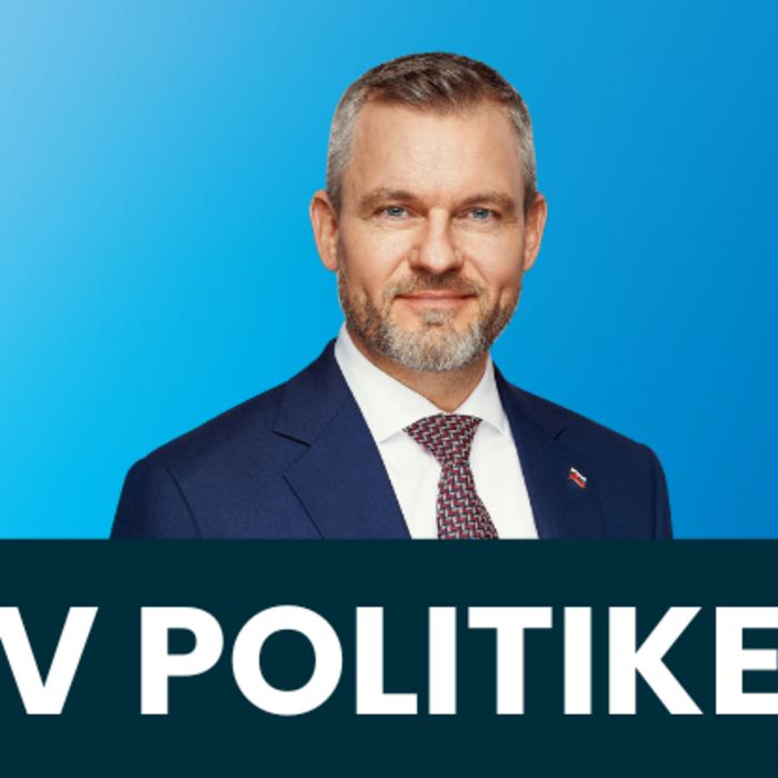 Pellegrini V politike