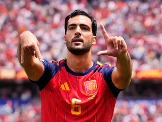 merino