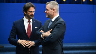 kaliňák pellegrini