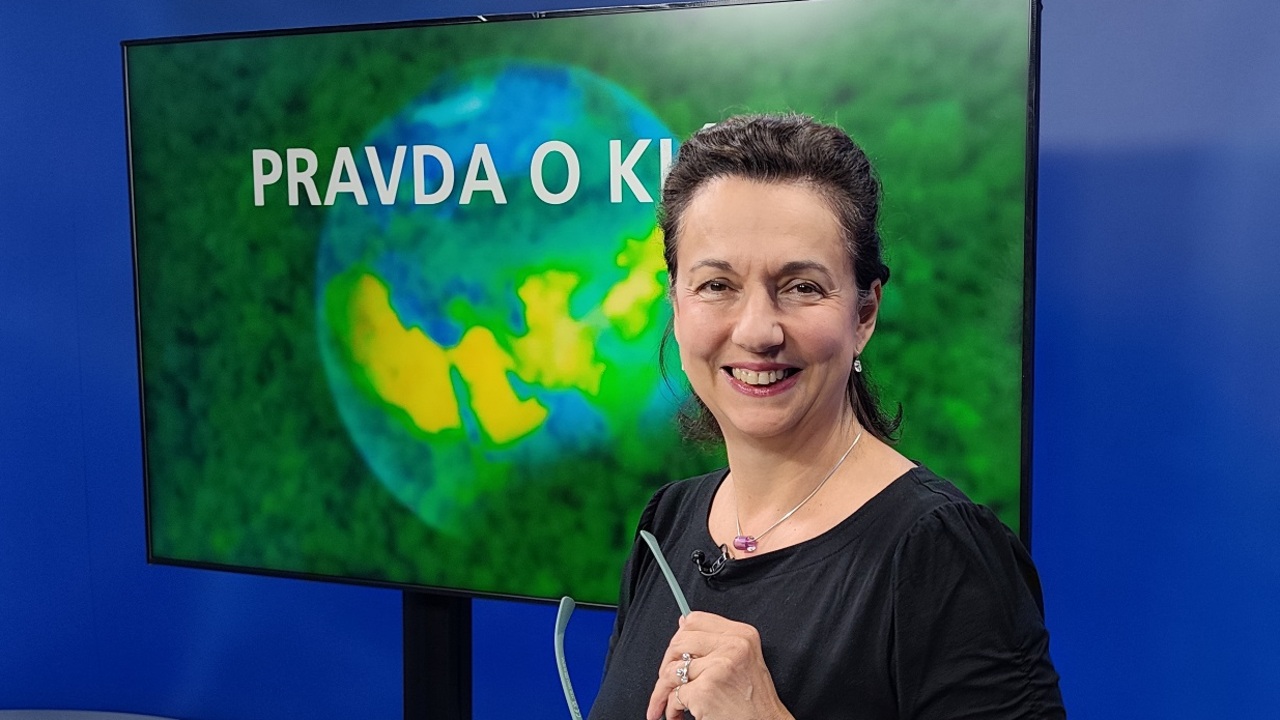 Katarína Medveďová