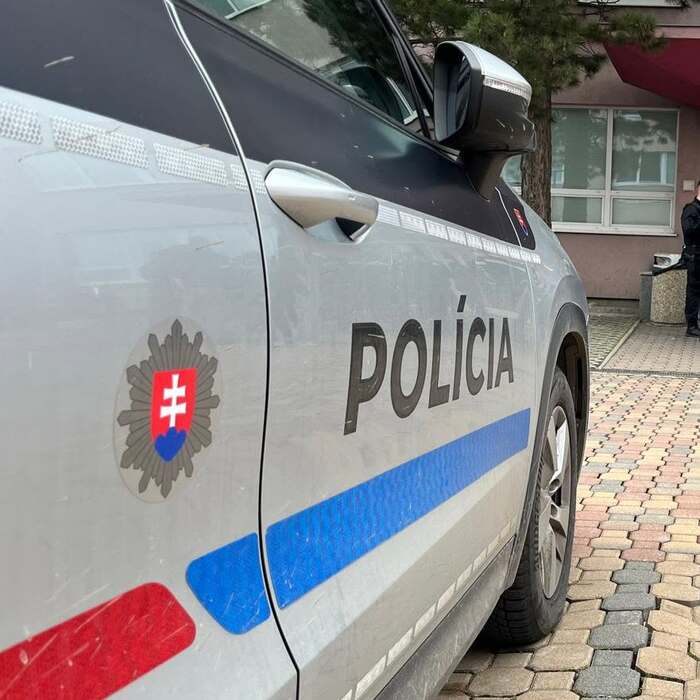 polícia policajt policajti hliadka
