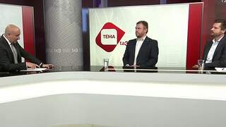 tema