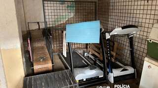 Psy mali roky pripravovať na krvavé zápasy. Enviropolícia obvinila štyroch ľudí, prípad siaha až za hranice