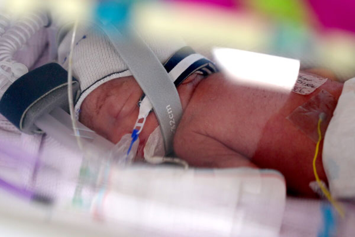 Štvorča č. 2 predčasne narodene dieta