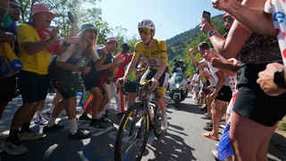 Najprv nechal súperov odísť, potom ich po jednom zlomil. Pogačar triumfoval na ikonickom Alpe d'Huez