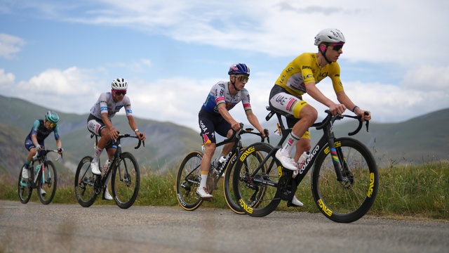tdf.jpg