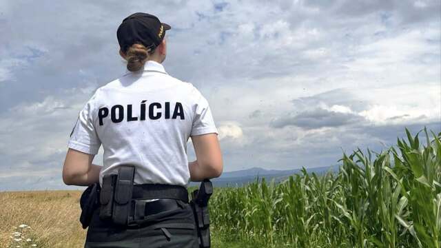polícia 