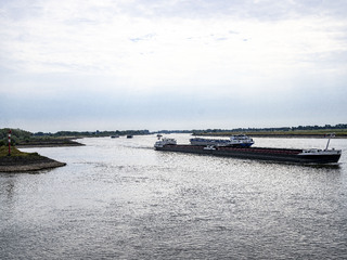 Rýn