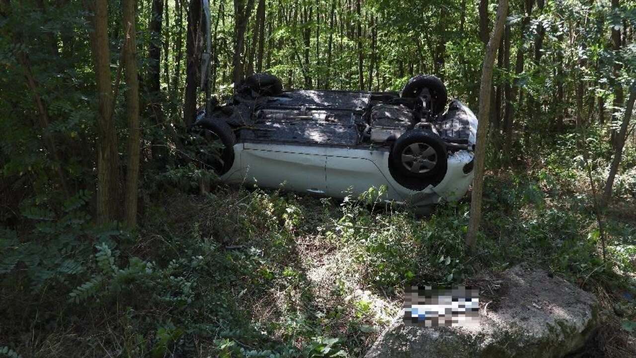 auto nehoda