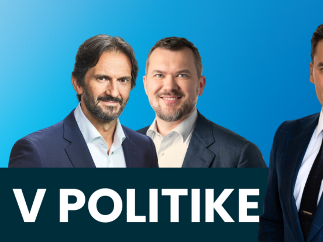 V politike