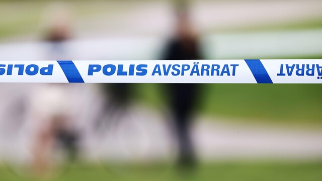 Švédsko polícia