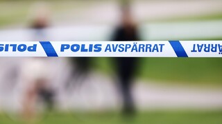 Švédsko polícia