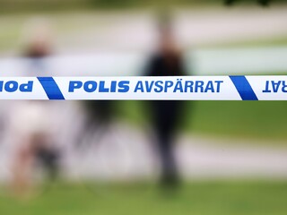 Švédsko polícia