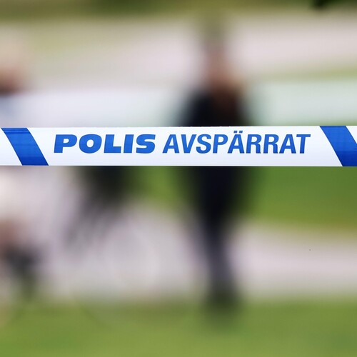 Švédsko polícia