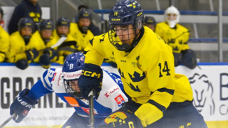 slovensko hlinka gretzky cup.png