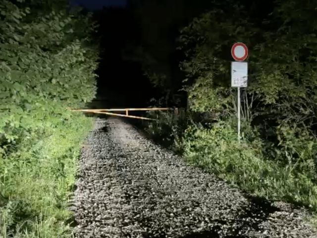 Medveď pri Martine napadol cyklistu. Strhol ho z bicykla, muž skončil so zraneniami v nemocnici