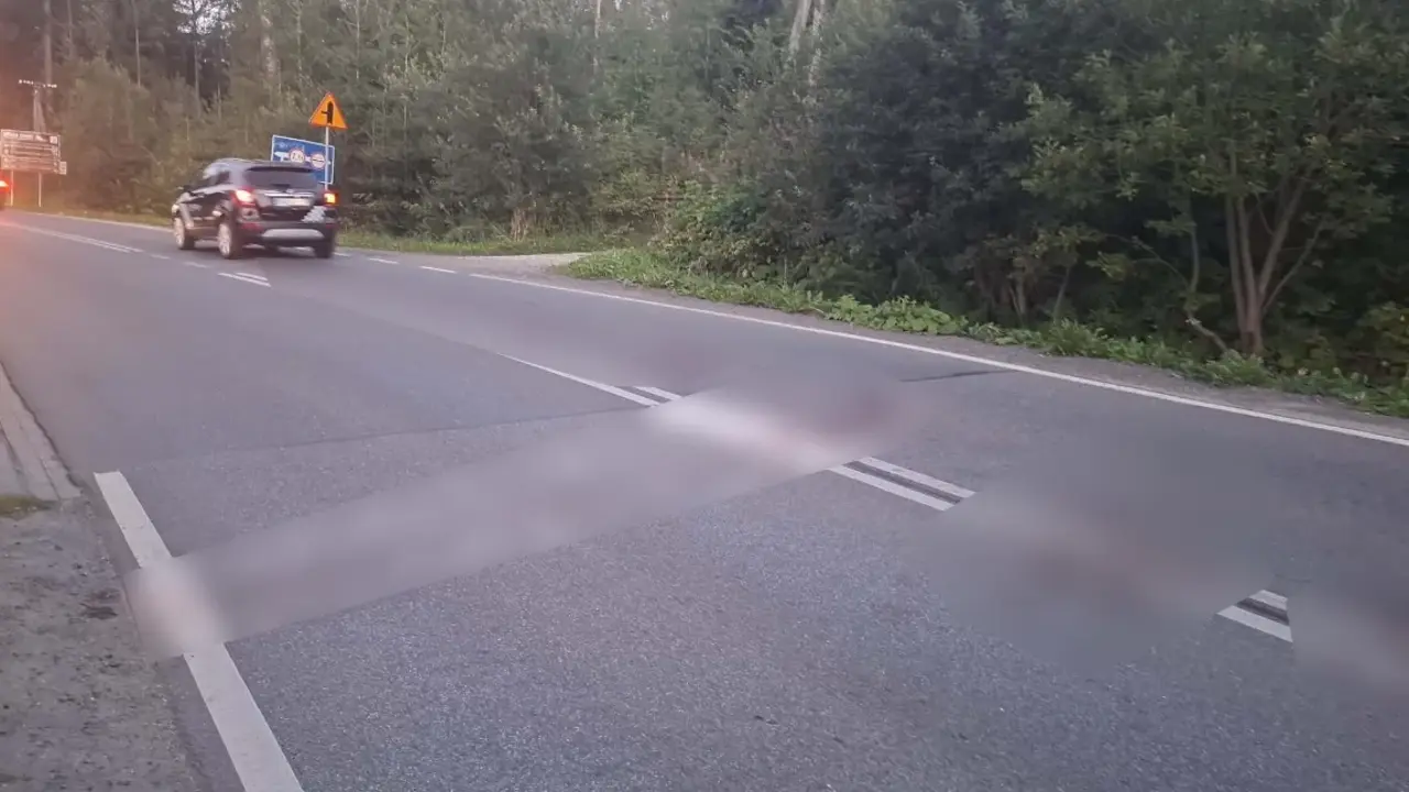 medveď nehoda Poľsko