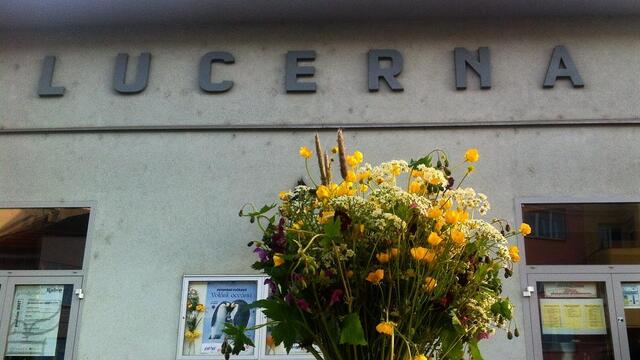 lucerna kino brno