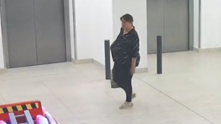 žena pátranie hlodavce 