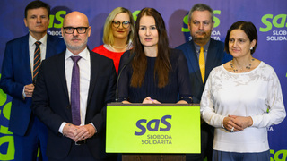 Bajo Holečková definitívne zakotvila v SaS. Po roku a pol v klube vstúpila aj do strany