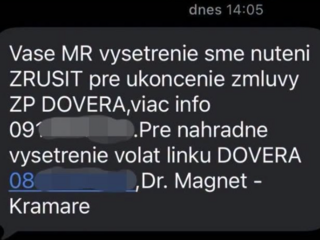 magnetická rezonancia smska