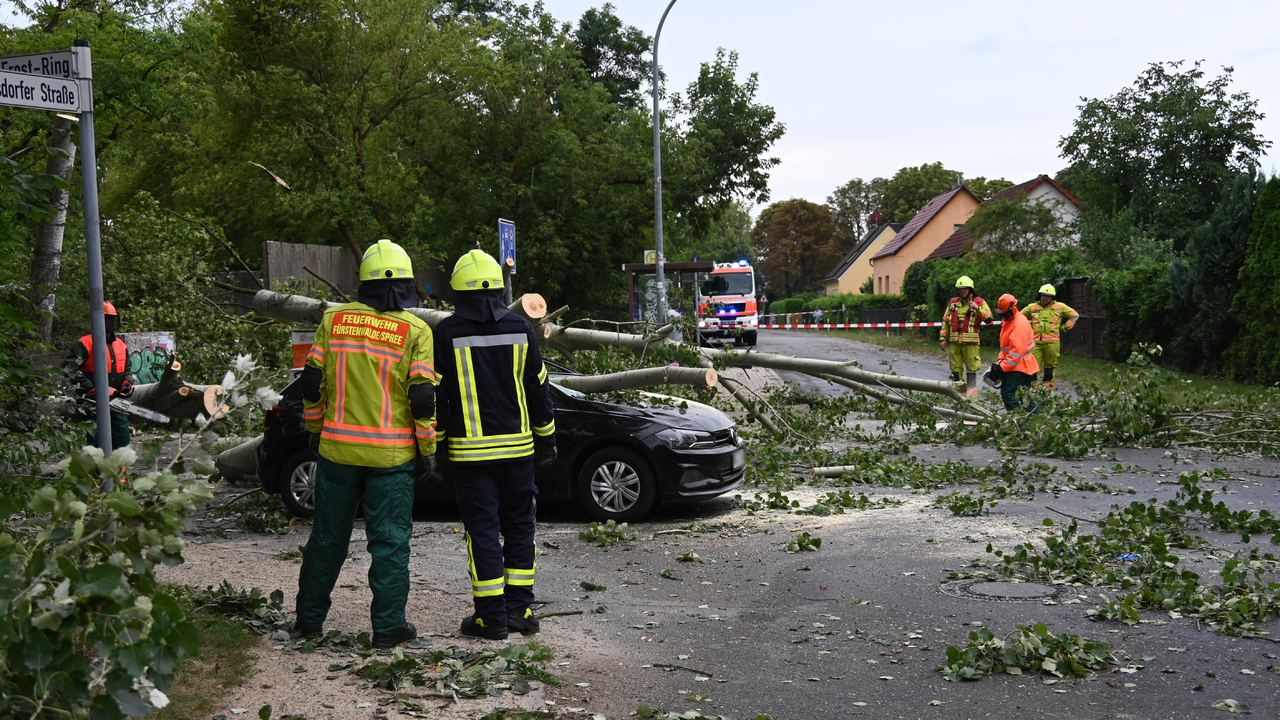 nemecko búrky vyvrateny strom