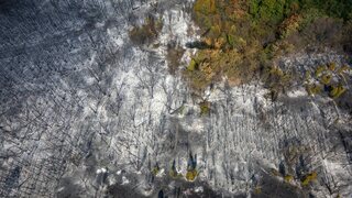Požiare sužujú Srbsko už týždeň. Hasičom komplikujú zásah horúčavy a vietor, pomáhajú aj Slováci