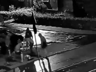 video poľsko fanúšik futbal