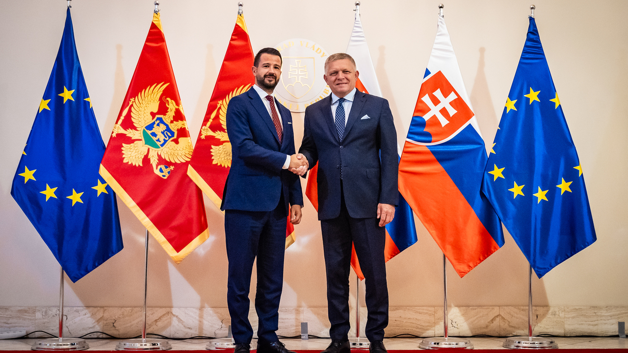 fico milatovič.jpg