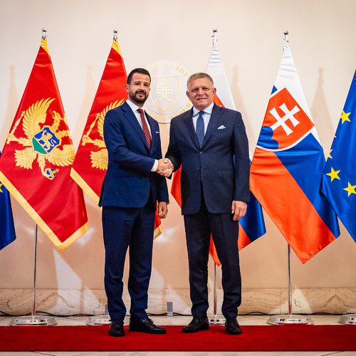 fico milatovič.jpg