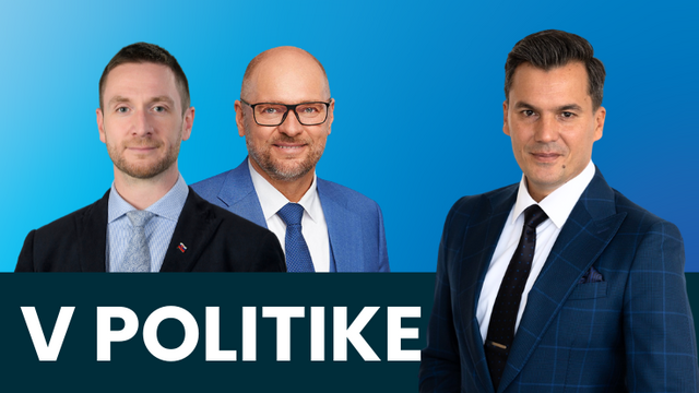 uhrík, sulík v politike
